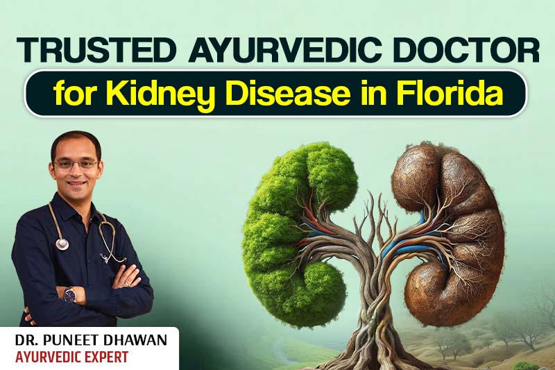 Trusted Ayurvedic Doctor for Kidney Disease in Florida